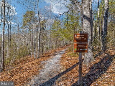 Lot Q Twin Oaks Dr, Bentonville, VA 22610 - photo 4