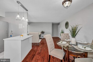 3710 N Rosser St unit 202, Alexandria, VA 22311 - photo 7