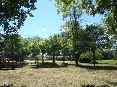 0 W Stanton Rd unit 72 17031785, Stanton, MI 48888 - photo 3