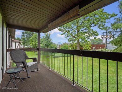 510 Banyon Ln unit C, La Grange, IL 60525 - photo 6