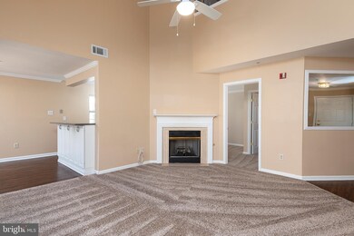 9101 Gracious End Ct unit 303, Columbia, MD 21046 - photo 6