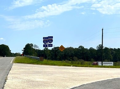 0 Bullard Rd, Dry Branch, GA 31020 - photo 4