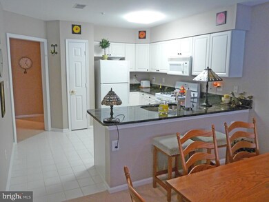 12105 Tullamore Ct unit 201, Lutherville Timonium, MD 21093 - photo 3