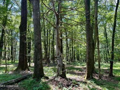 IMG_0147