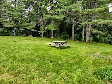 pretty back yard