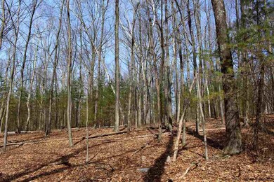 Parcel 1 Ridgeview Rd, Rochester, NY 12446 - photo 3