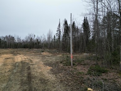 Lot 52.3 Lagrange Rd, Howland, ME 04463 - photo 2