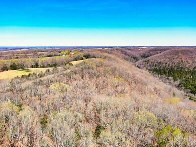Tbd State Highway Y, Galena, MO 65656 - photo 6