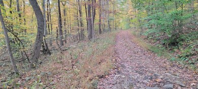 TBD Pine Ridge Rd, Morgantown, WV 26508 - photo 6