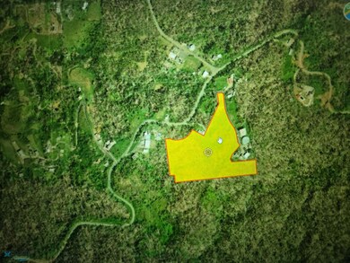 RD186 KM13 Guzman Arriba, Rio Grande, PR 00721 - photo 3