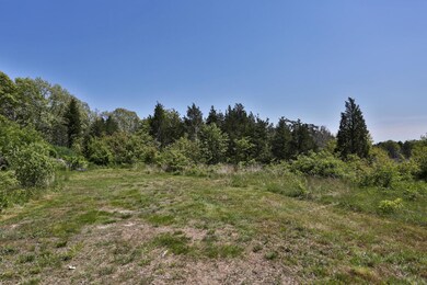 335 Franklin St, Vineyard Haven, MA 02568 - photo 4