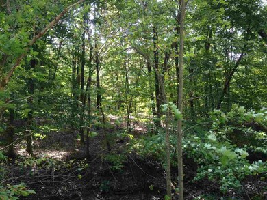 0 Schodack Valley Rd unit 201420024, Schodack, NY 12033 - photo 2