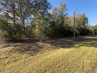 4255 Training School Rd, Macon, GA 31217 - photo 2