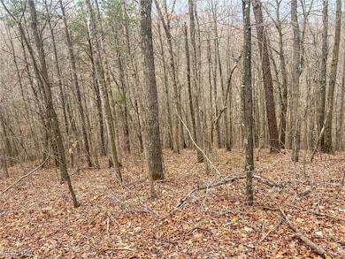 0 Ponetown Rd, Ray, OH 45672 - photo 5