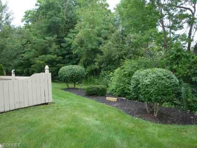 Wooded View