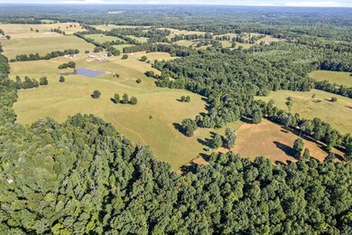 338 Largent Hollow Rd unit 380, Tennessee Ridge, TN 37178 - photo 6