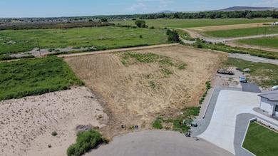 818 Brahma SW, Albuquerque, NM 87105 - photo 2
