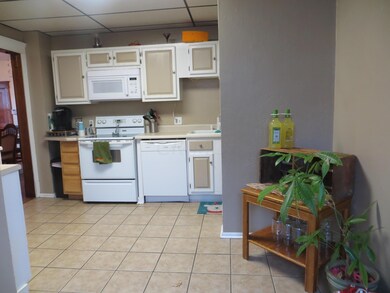 built in microwave and dishwasher