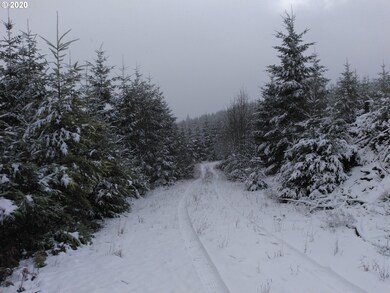 0 Gooseneck Creek Rd, Sheridan, OR 97378 - photo 5
