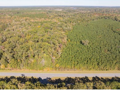 239 Trask Pkwy, Yemassee, SC 29945 - photo 6