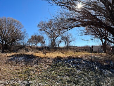 1406 #10 Saiz Ln, Bloomfield, NM 87413 - photo 3