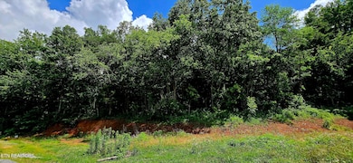 1580 Restful Way, Newport, TN 37821 - photo 7