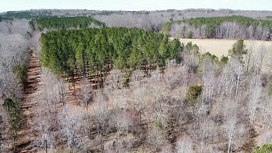dji_fly_20250301_123346_258_174085087849