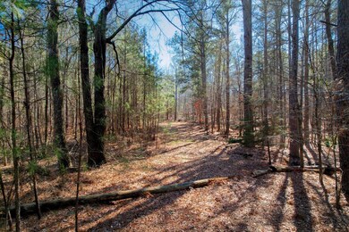 LOT 5&6 Green Acres Rd, Lincolnton, GA 30817 - photo 3