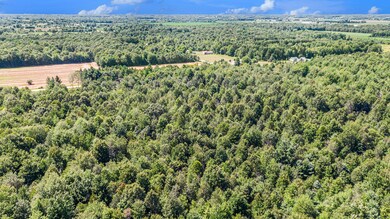 DJI_0498