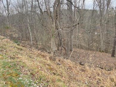 701 Tower Rd, Hurricane, WV 25526 - photo 2