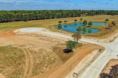 2212 Stallion Lakes Ave, Hockley, TX 77447 - photo 4