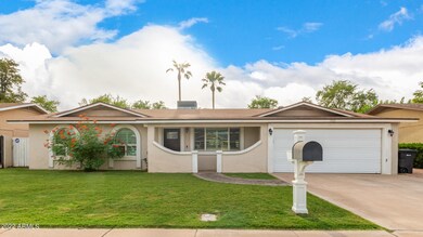 Nice grassy front yard