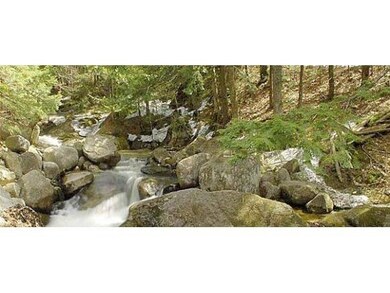 Trout fish in Great Brook!!!