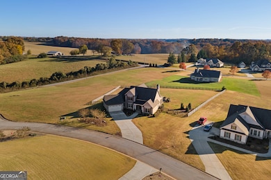 652 Meadow Run Ct, Clarkesville, GA 30523 - photo 4