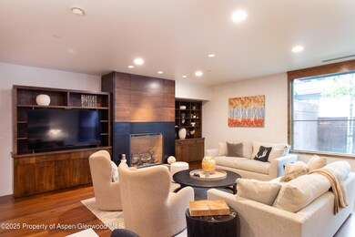 233 E Cooper Ave unit 104, Aspen, CO 81611 - photo 2