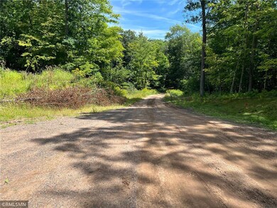 Lot 6 186th St, Balsam Lake, WI 54024 - photo 3