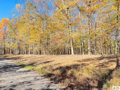 740 Jay Wheeler Rd, Columbia, KY 42728 - photo 2