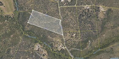 Patterson Land - Aerial
