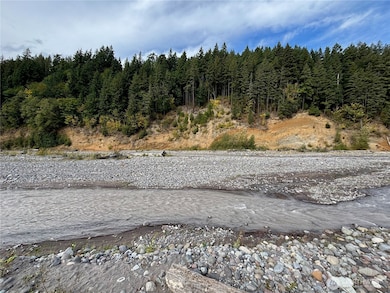 23415 177th St E, Orting, WA 98360 - photo 3