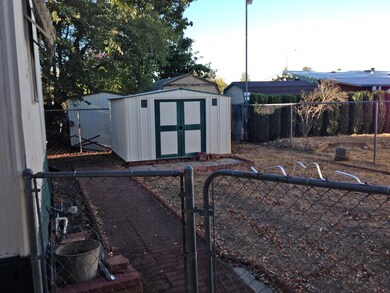 1089 Eagle Nest Side Yard