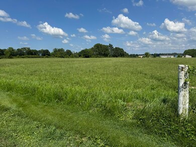 262 Old Hwy 910 unit 2, Russell Springs, KY 42642 - photo 4