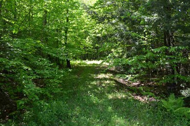 0 Farm Ridge Rd unit Lots 18/19, Ludlow, VT 05149 - photo 7