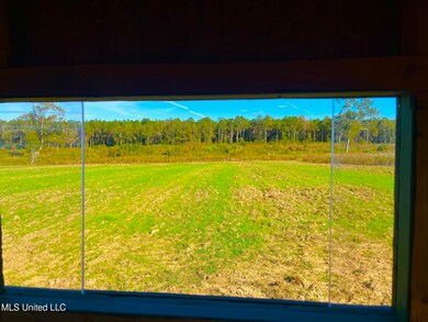 0 Darbun China Grove Rd unit 4132615, Sandy Hook, MS 39478 - photo 4