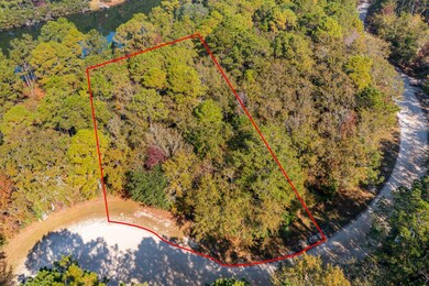 4258 True Blue Ct, Mount Pleasant, SC 29429 - photo 7