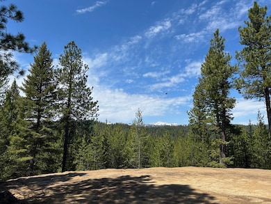 Lot 40 Challis Ln unit 40, Cascade, ID 83611 - photo 4