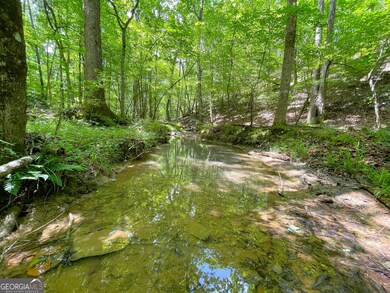 111 + - Acres Off Slate Mine Rd, Fairmount, GA 30139 - photo 4