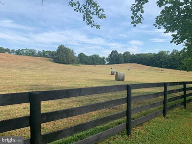 4449 Mountain Laurel Ln, Marshall, VA 20115 - photo 3