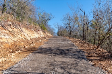 TBD Bear Hollow Rd, Fort Smith, AR 72916 - photo 4