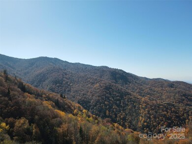 3837 Plott Balsam Rd unit 58, Maggie Valley, NC 28779 - photo 6