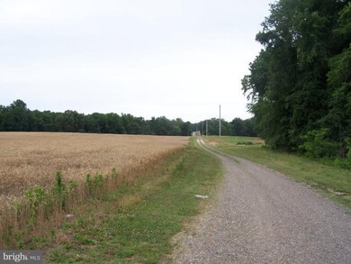 148 Ocean Gateway Hwy, Queenstown, MD 21658 - photo 5